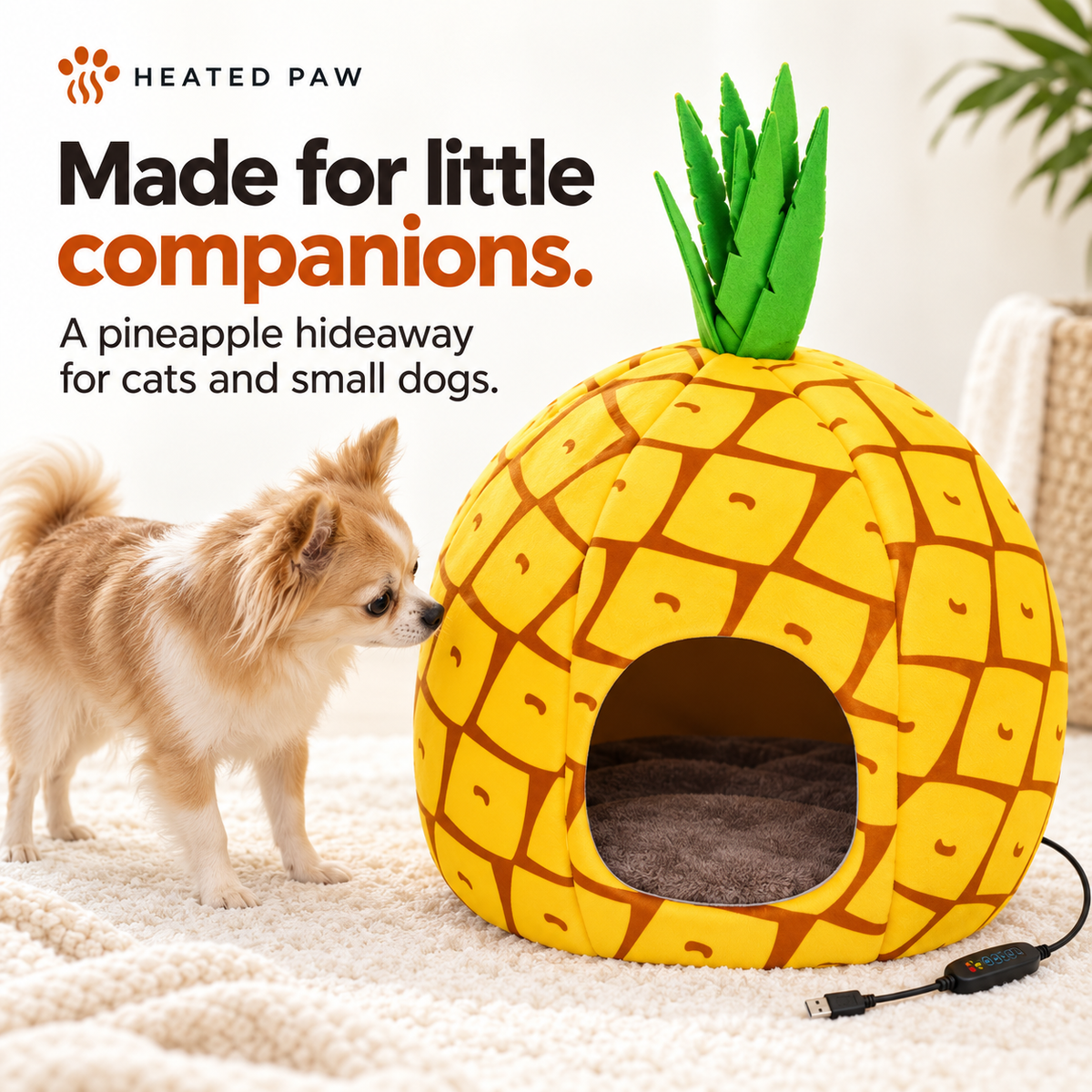 HEATED PAW™ Cozy Heated Pet House