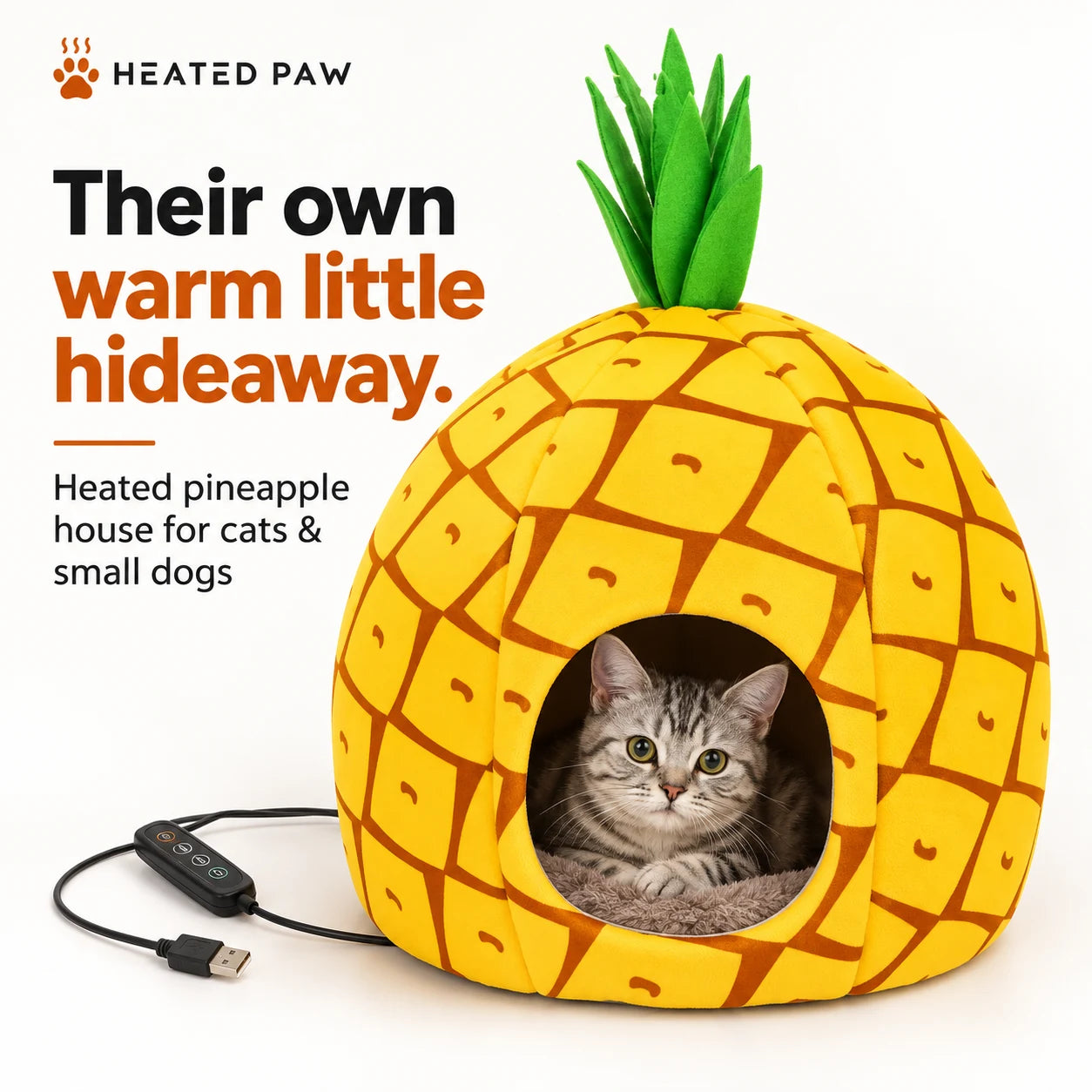 HEATED PAW pineapple pet house